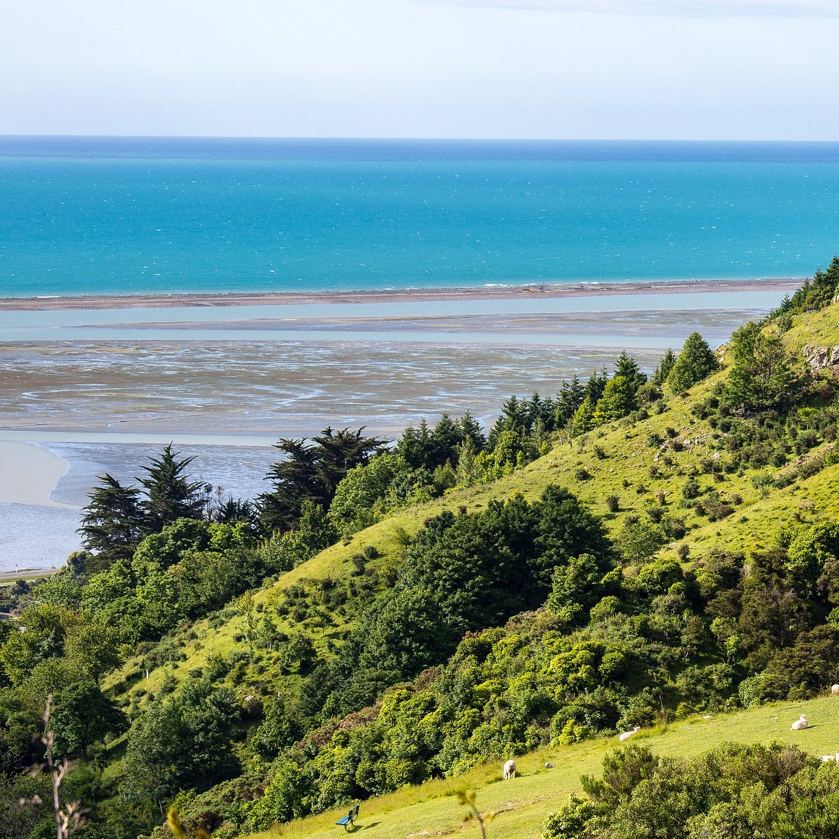 Нельсон город в новой Зеландии. Nelson New Zealand.