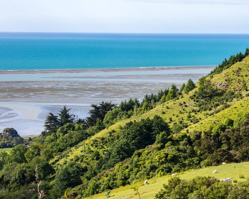 THE 10 BEST Things to Do in Nelson (Updated 2024) - Tripadvisor