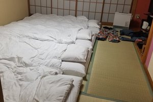 客室 & スイート