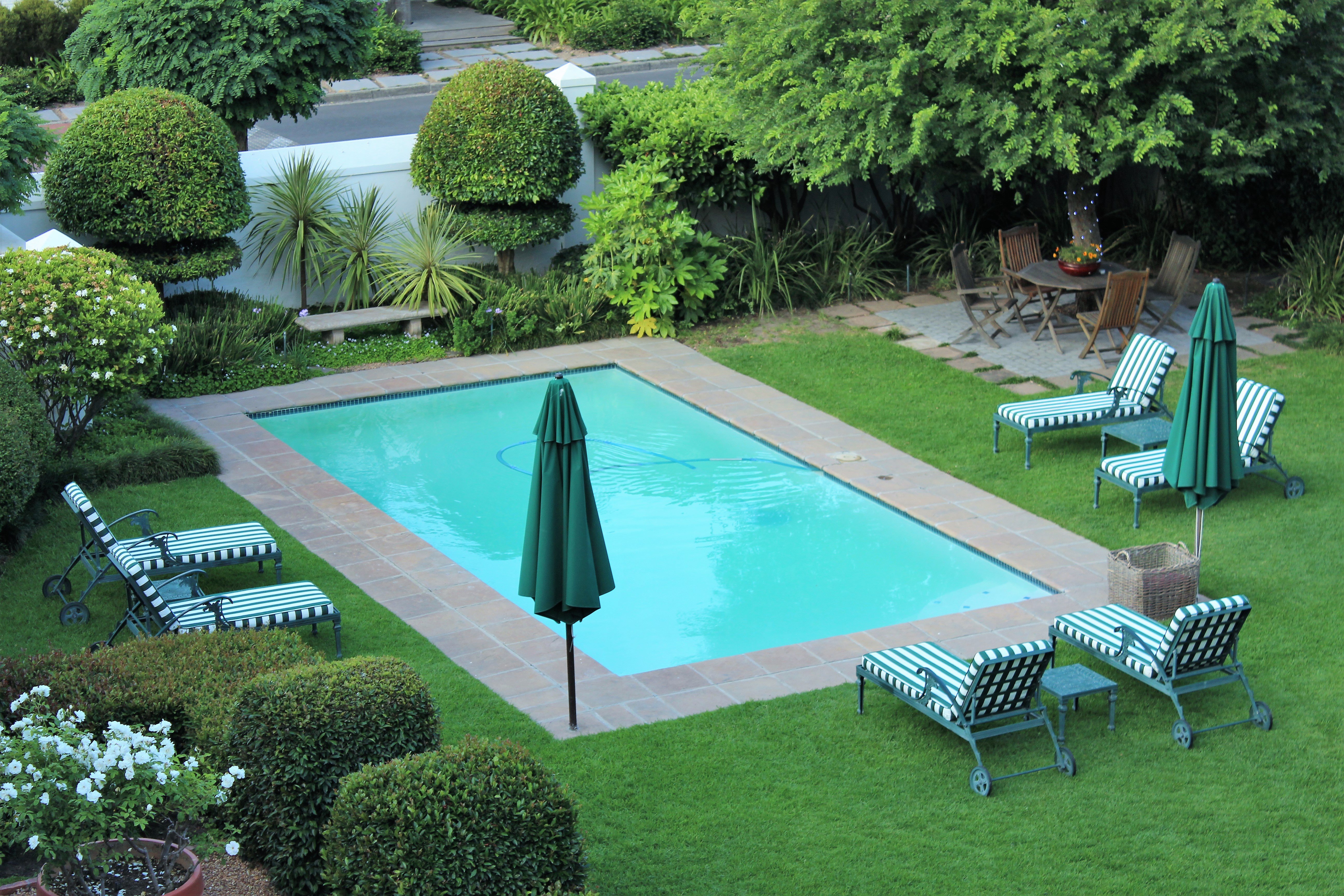 Fotos y opiniones de la piscina del Van der Stel Manor Tripadvisor