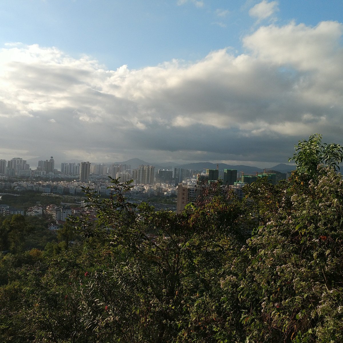 Lin Chun Ling Forest Park, Санья: лучшие советы перед посещением -  Tripadvisor