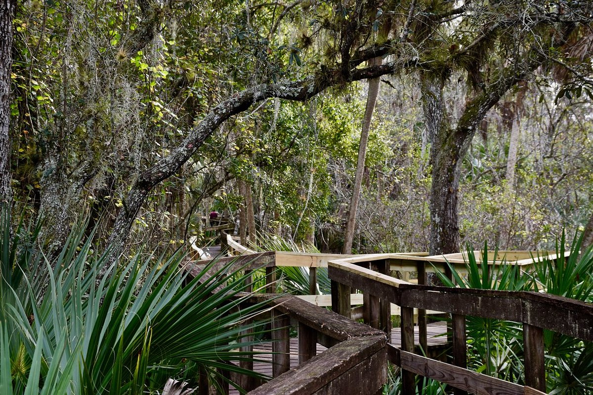 Turkey Creek Sanctuary (Palm Bay) - All You Need to Know BEFORE You Go