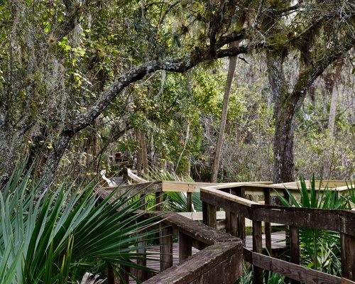 Exploring Palm Bay: A Guide to Floridas Hidden Gem