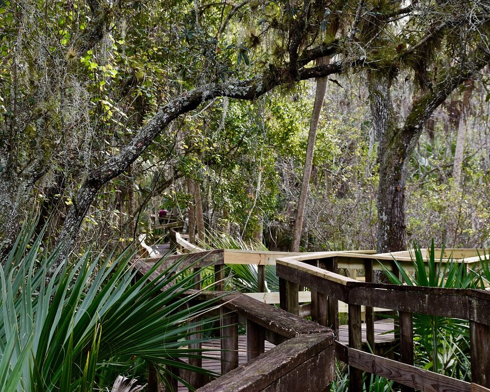 THE 10 BEST Parks & Nature Attractions in Brevard County (2024)