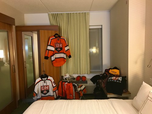 Springhill Suites Pittsburgh Mt Lebanon Mount Lebanon Pa SPRINGHILL SUITES PITTSBURGH MT. LEBANON: Bewertungen, Fotos