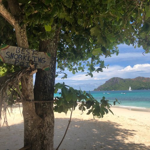 Praslin Island review images