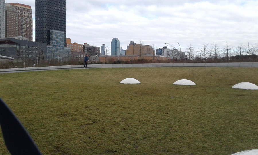 dog play area