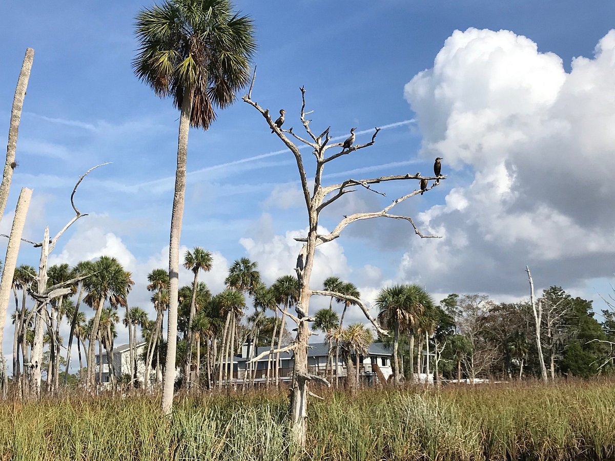 bayport river safari tours