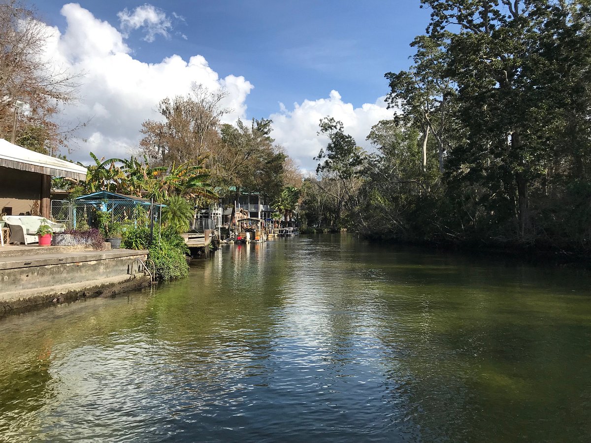 bayport river safari tours