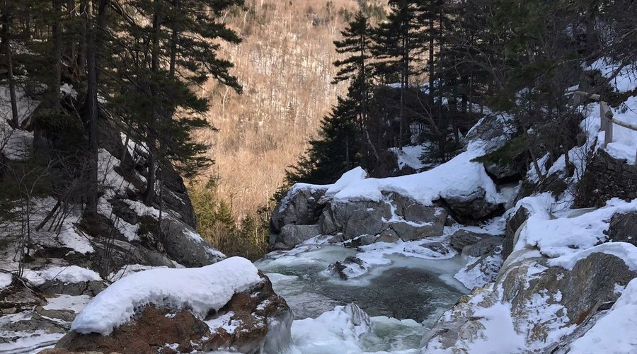 Ellis falls in December