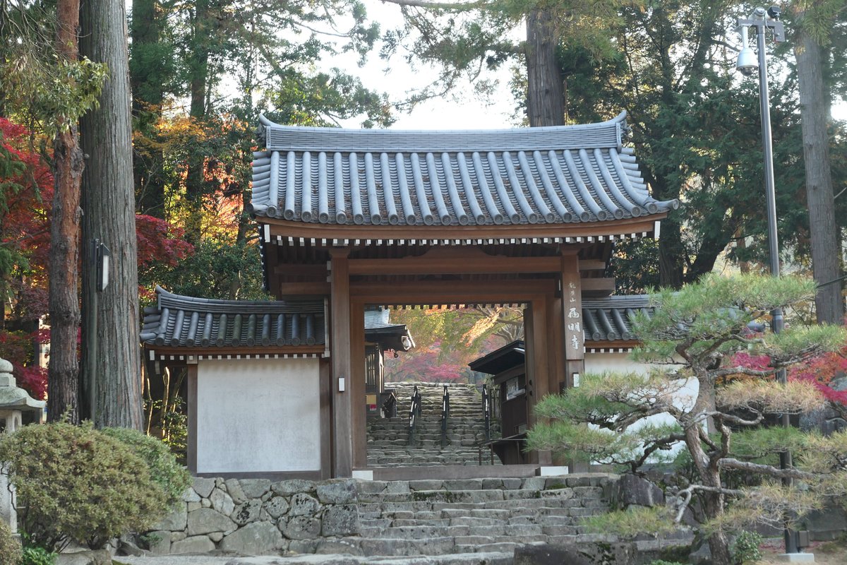 Saimyo-ji Temple Omotesando - All You Need to Know BEFORE You Go (2024)