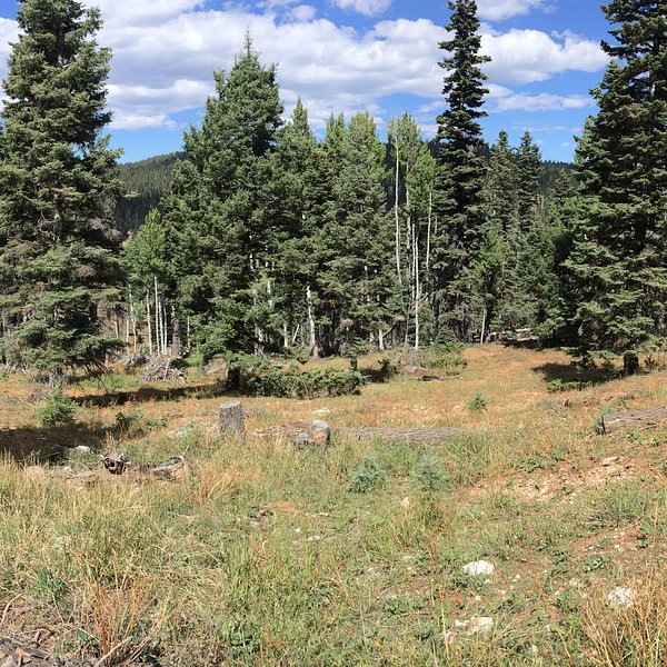 Cedar Ridge Golf Course (Cedar City, UT) anmeldelser Tripadvisor Cedar Ridge Golf Course (Cedar City, UT) anmeldelser Tripadvisor