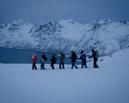 I migliori 10 giri turistici a Tromsø (AGGIORNATO 2024) - Tripadvisor