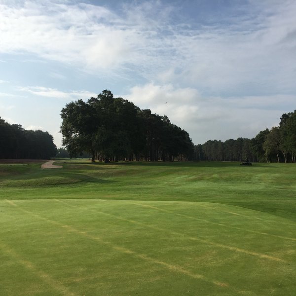 HOEBRIDGE GOLF CENTRE (Woking) - All You Need to Know BEFORE You Go