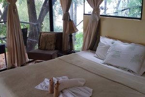 Room & Suite