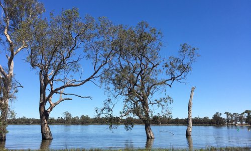 Charlton, Australien Tourismus in Charlton Tripadvisor