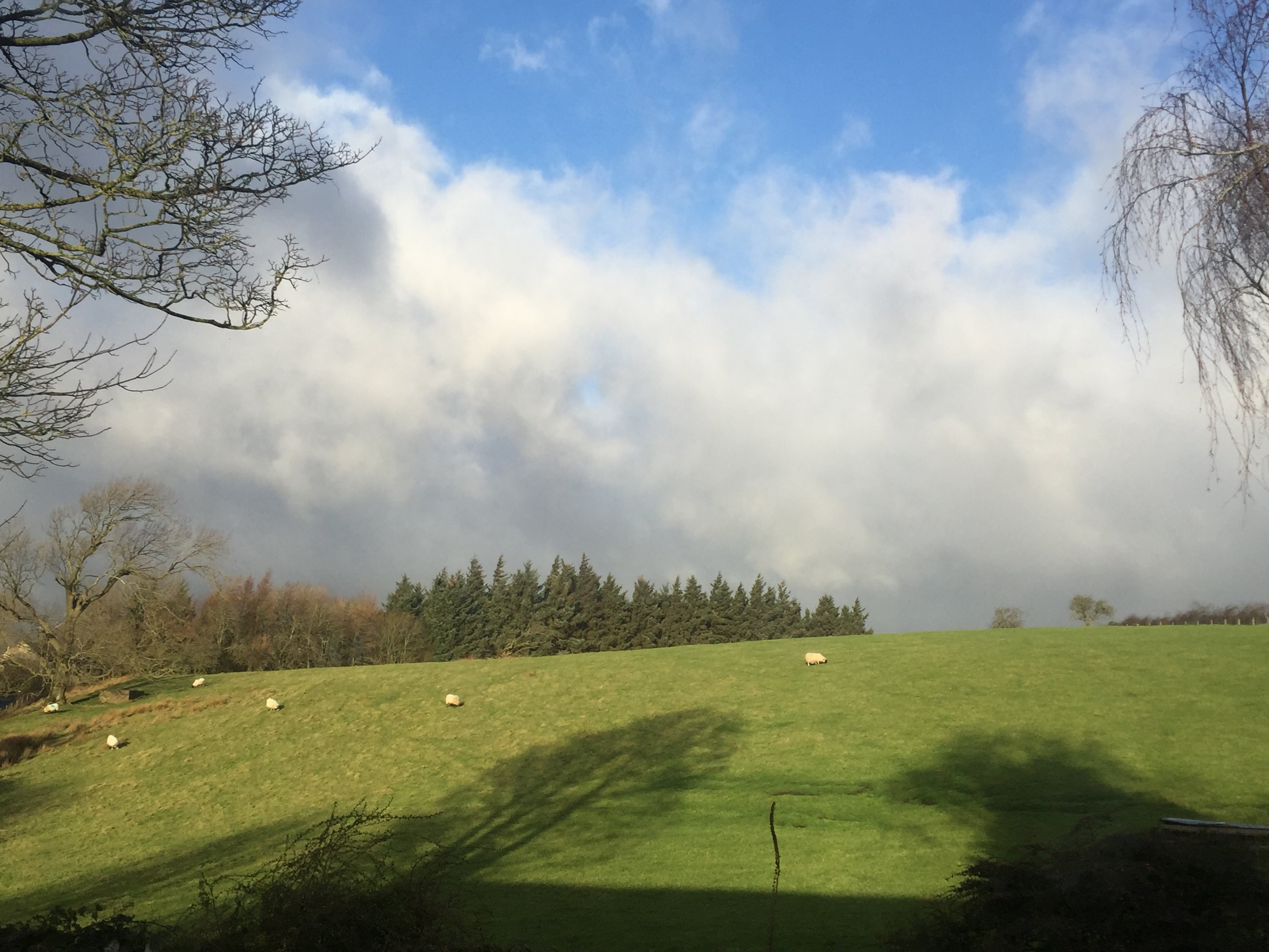 KELLAH FARM B&B & COTTAGES - Updated 2024 Prices (Haltwhistle)