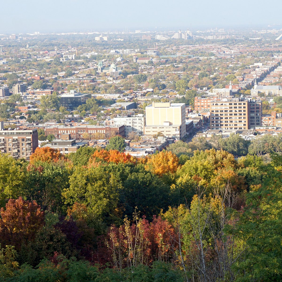 BELVEDERE CAMILLIEN-HOUDE (Montreal) - All You Need to Know BEFORE You Go