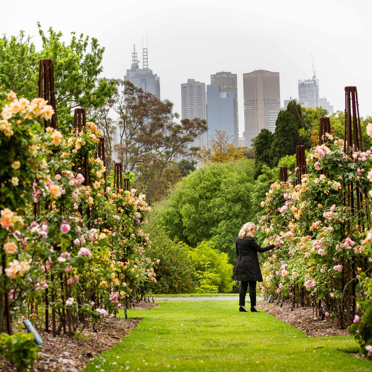 Royal Botanic Gardens Victoria (Melbourne) Lo que se debe saber antes