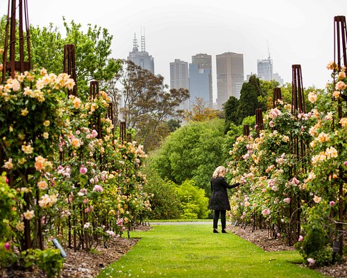 THE 15 BEST Things to Do in Victoria - 2024 (with Photos) - Tripadvisor