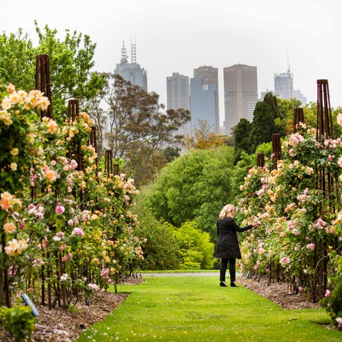 10 Taman & Objek Wisata Alam Terbaik di Australia - Tripadvisor