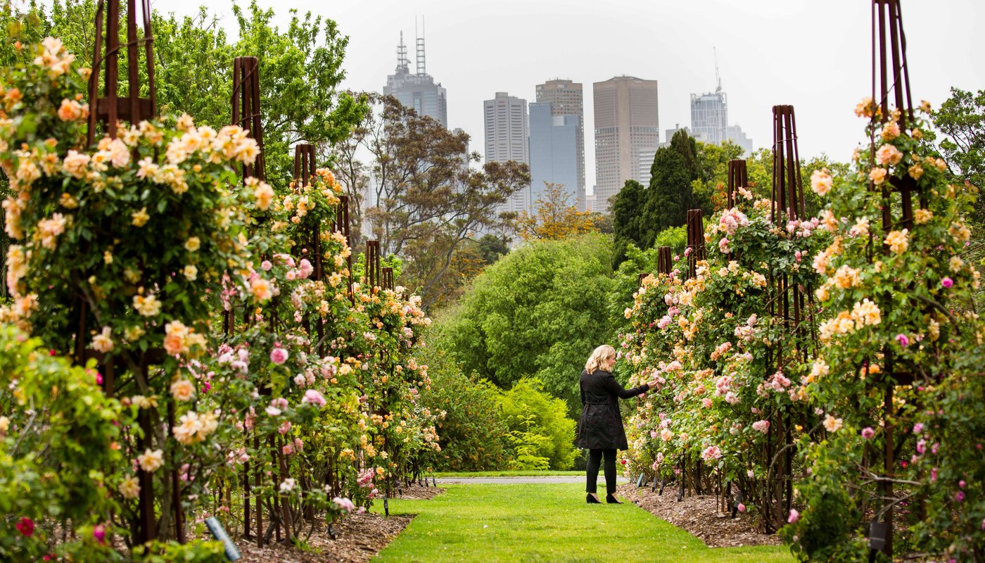 ROYAL BOTANIC GARDENS VICTORIA All You MUST Know Before You Go (2024)