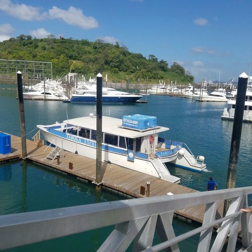 TABOGA EXPRESS FAST FERRY - All You Need to Know BEFORE You Go