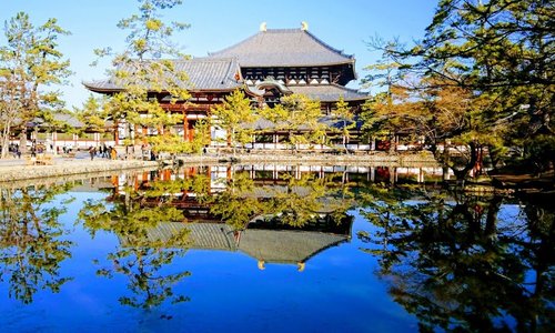 大仏池に映る大仏殿