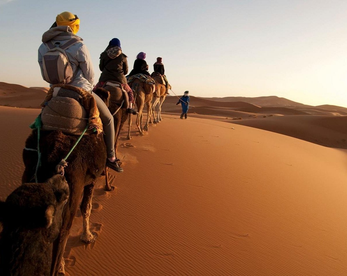 morocco joy travel reviews