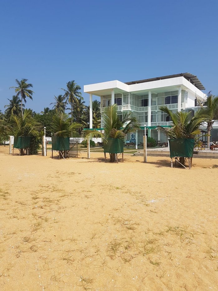 Great Villa Beach - Inn Reviews (dodanduwa, Sri Lanka)