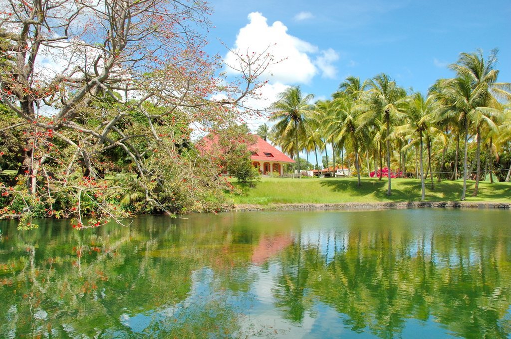 Distillerie Longueteau guadeloupe 