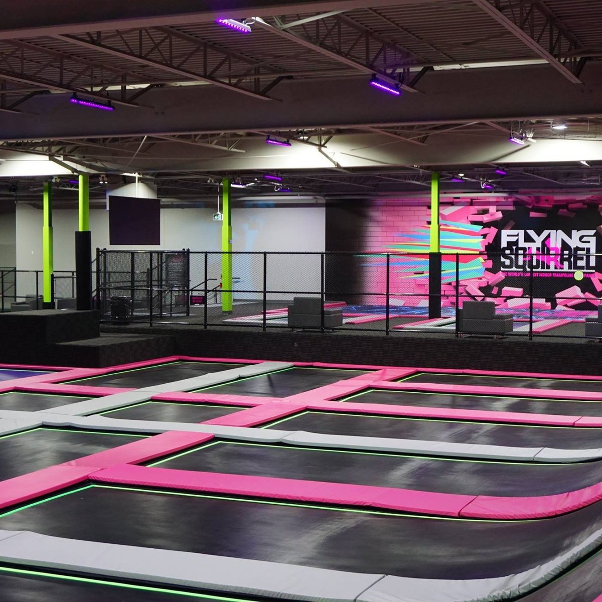 Flying Squirrel London (2025) - All You Need to Know BEFORE You Go (with Reviews)