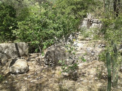 benzină plia Sobru san jose de ocoa dominican republic Sigur Frumos cazma