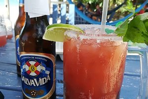 Bebidas