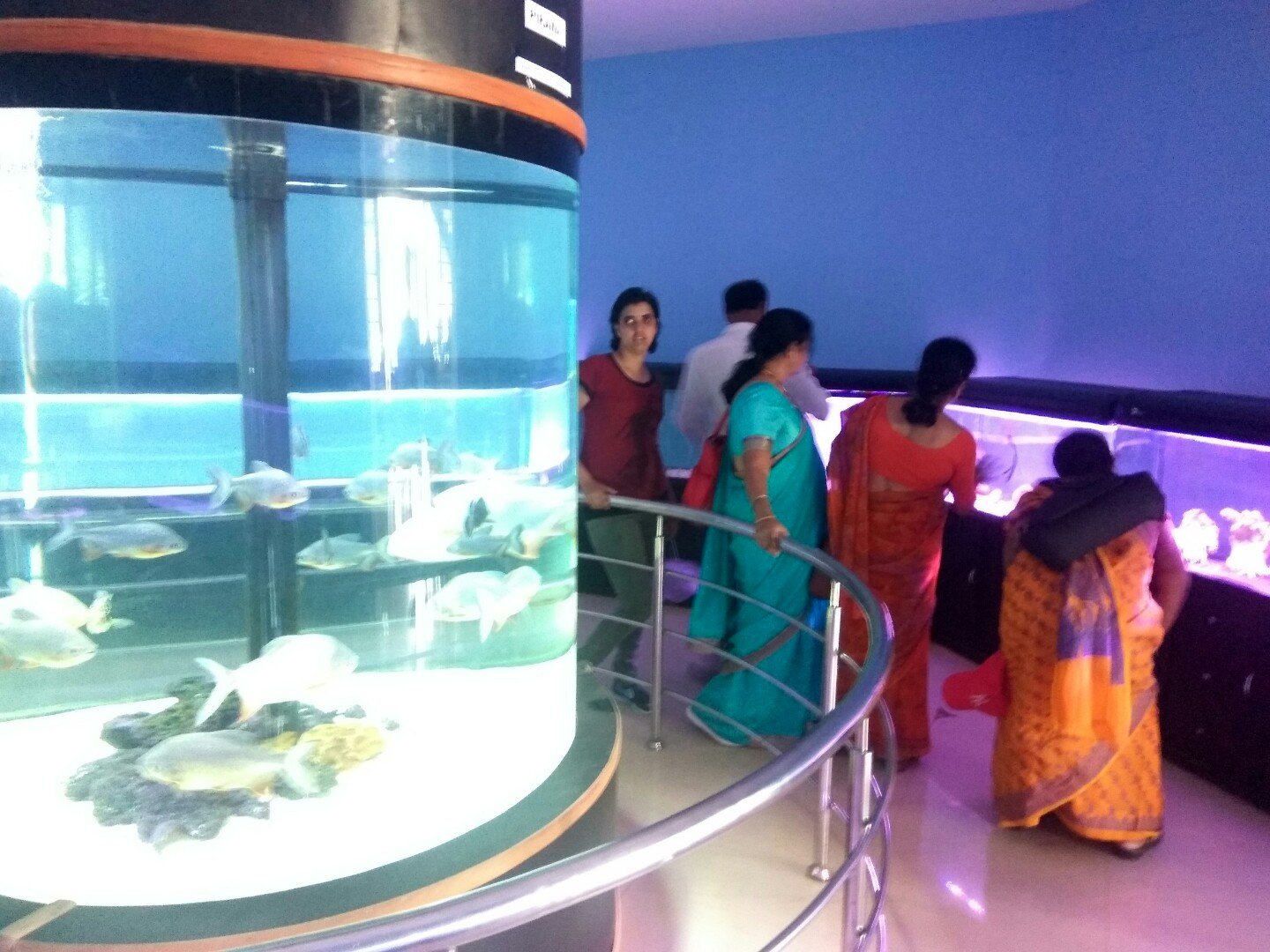 Ganga aquarium clearance