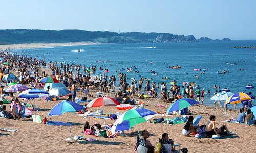 八戸 旅行 観光ガイド 年 トリップアドバイザー