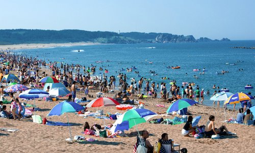 八戸 旅行 観光ガイド 年 トリップアドバイザー