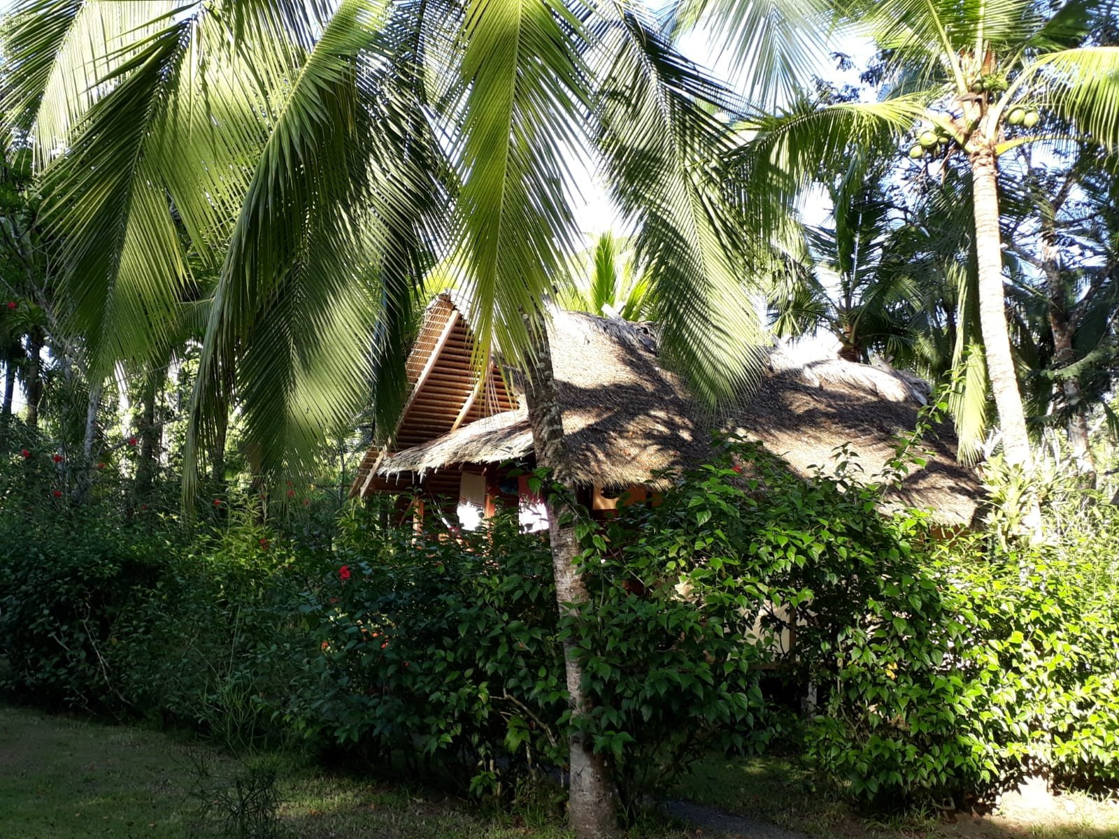 Alby Lodge by null