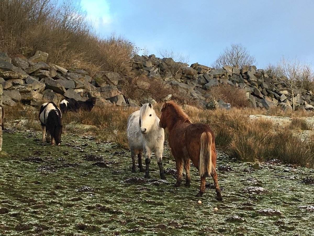 Os 10 Melhores Hotéis Para Fazer Trilhas Em Dartmoor National Park 2024 Com Preços Tripadvisor 6689