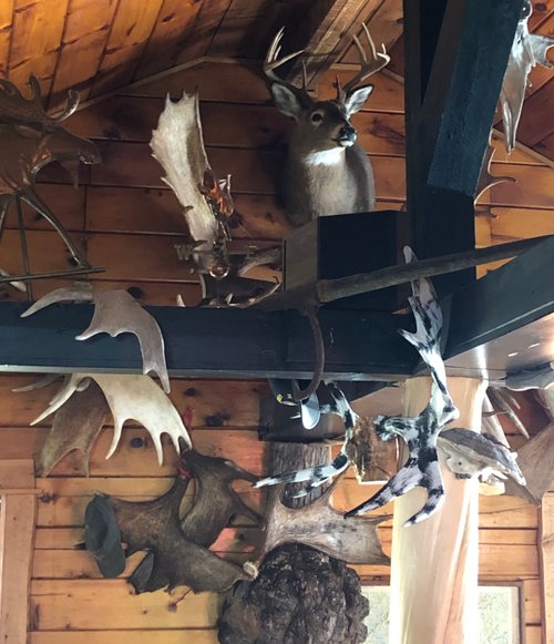 MOOSE SHED LODGE - Reviews (Millinocket, Maine)