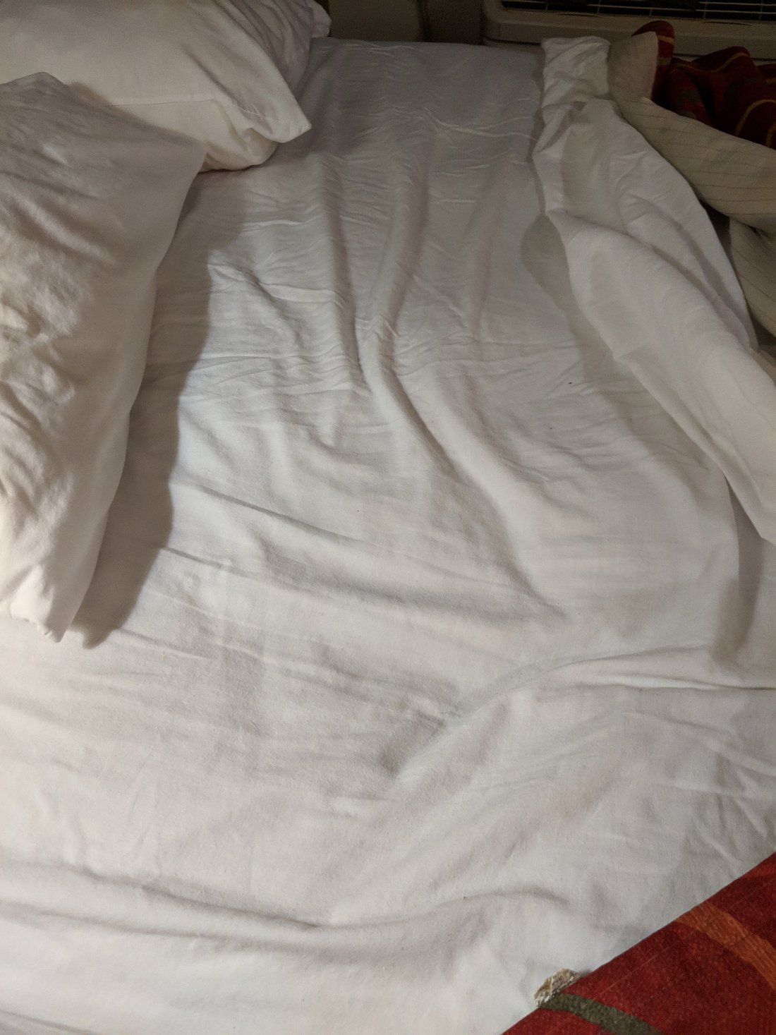 My cousin slept on this mattress for 2 nights before stripping it only to  notice the dried blood (La Quinta - Downtown Denver, CO). : r/Wellthatsucks