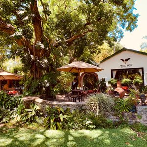 Mount Meru Game Lodge in Usa River, image may contain: Villa, Backyard, Hacienda, Resort