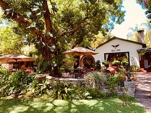 Mount Meru Game Lodge in Usa River, image may contain: Villa, Backyard, Hacienda, Resort