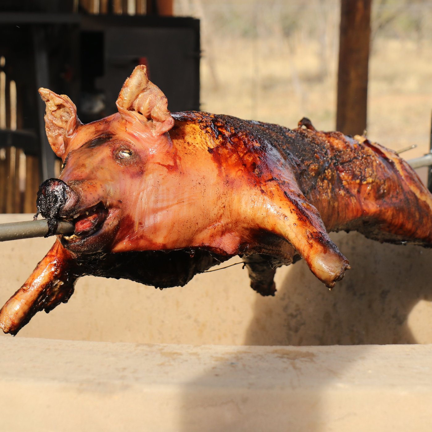 BUSH BBQ, Bela Bela - Restaurant Reviews, Photos & Phone Number - Tripadvisor