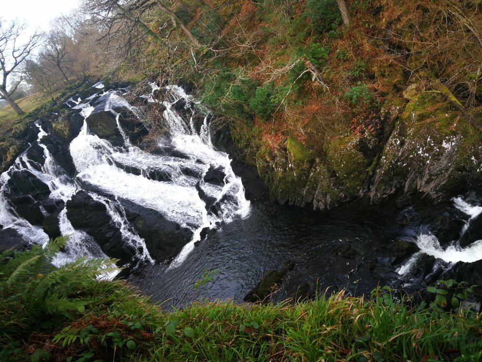 swallow falls