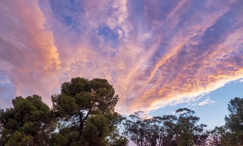 Sunset on the Golf Course at MAS Country Club Club Inn, West Wyalong NSW