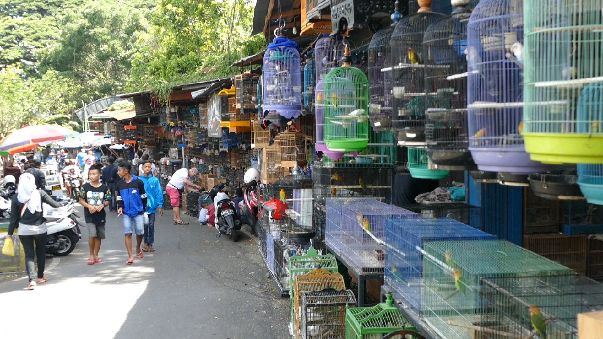 Birds and Flower Market Malang - All You Need to Know BEFORE