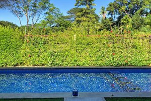 Pool & Beach
