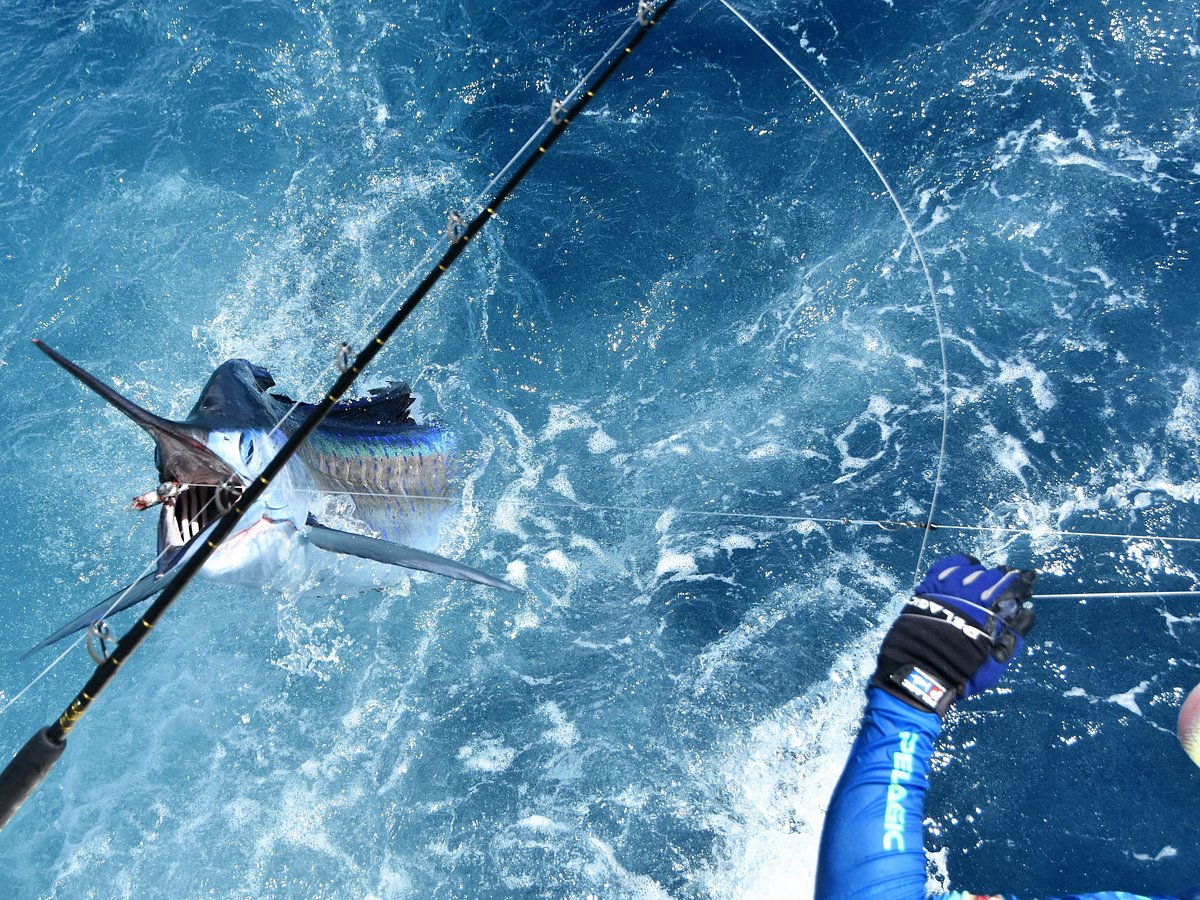 Runaway Sport Fishing Boat