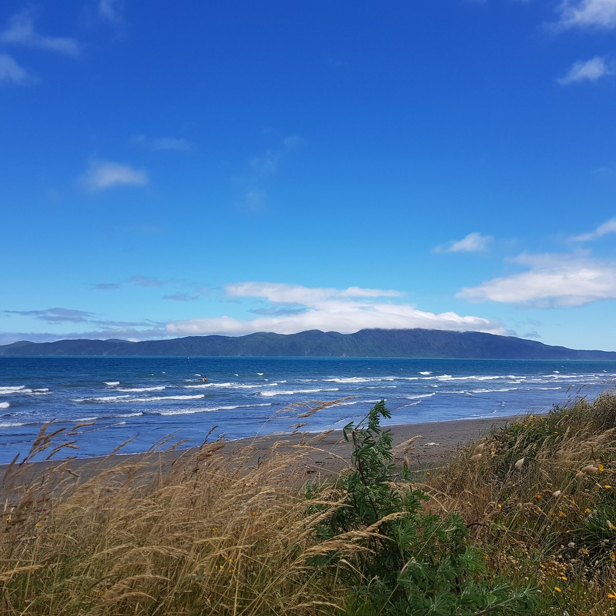 Northern island. Остров Капити. Козий остров Северная Америка. Фото Норд Айленд. North Island.